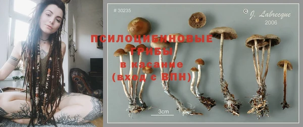 спиды Алексеевка