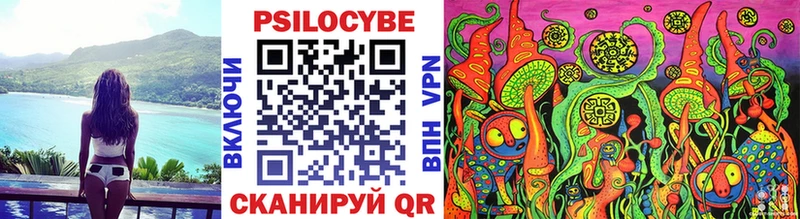площадка телеграм  kraken маркетплейс  Богородск  Псилоцибиновые грибы Cubensis 